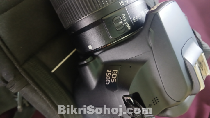 Canon 250 D Professional Camera.